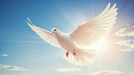 Obraz premium A white dove in flight against a bright sky, symbolizing peace and freedom.