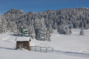  Plateau de l'Arselle à Chamrousse, domaine nordique en hiver, neige, ski de fond, paysage de montagne, Alpes