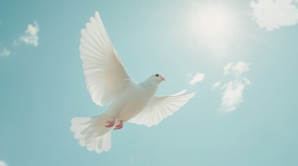 Fototapeta premium A white dove soaring against a bright blue sky, symbolizing peace and freedom.