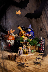 Halloween witch in a pointed hat with a broom sits on a stump from which spiders run away in a fairytale forest against the background of cobwebs, and prepares for All Saints' Day