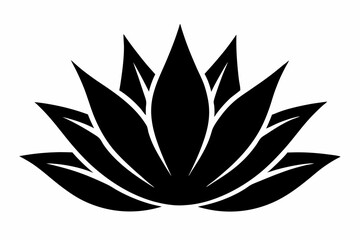 
Agave plant vector, agave symbol, Cactus vector icon

