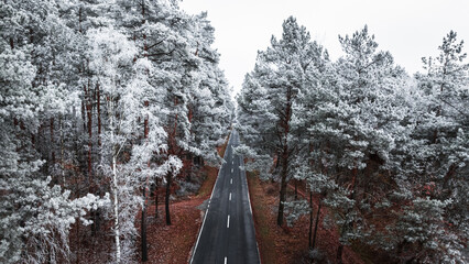 White forest with rime and dark road in winter.