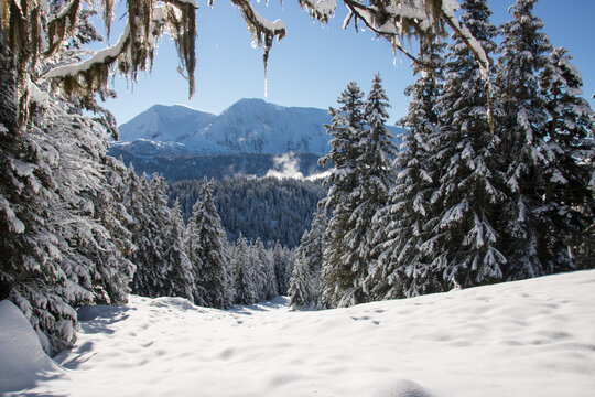 paysage alpin, alpes, Chamrousse en hiver apr&egrave;s chutes de neige, paysage, nature