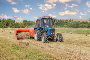 Obraz premium Agricultural work. Hay harvesting. Tractor collects straw into bales