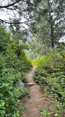 Nature walk