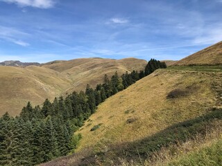 pyrenees nature landscape from the road