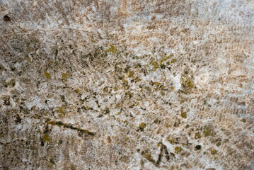 Stone Surface Textured Closeup Beige Natural Weathered Abstract Pattern Artistic