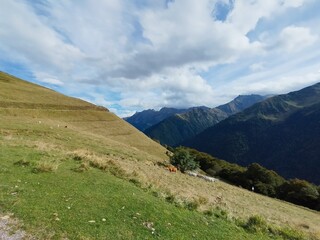 Fototapeta premium pyrenees nature landscape from the road