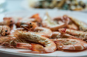 Grilled Shrimp served on Plate