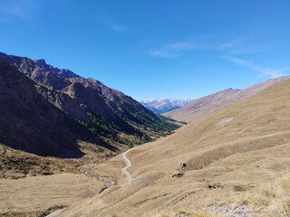 pyrenees nature landscape from the road