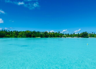 Secluded tropical beach in Bora Bora, French Polynesia with palm trees and calm turquoise water
