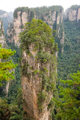 Fototapeta premium 張家界