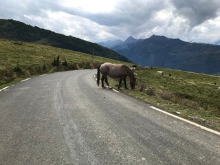 pyrenees nature landscape from the road