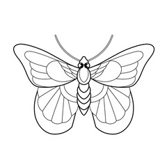 Doodle cute character butterfly sticker illustration outline