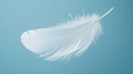 Obraz premium Close-up of a delicate white feather floating gracefully against a soft blue background, symbolizing lightness and freedom.