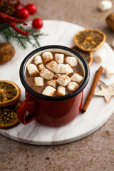 Homemade hot chocolate with marshmallow