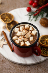Homemade hot chocolate with marshmallow