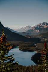 A high vantage point view of a turquoise lake surrounded by dense forest in Banff National Park