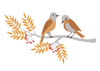 Cute autumn characters. Forest birds on a rowan branch. Vector illustration on a white background.