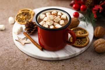 Homemade hot chocolate with marshmallow