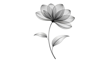 A delicate flower with intricately detailed petals stands out against a transparent background. The simplicity of the design emphasizes its elegant and understated beauty,with copy space.AI generated.