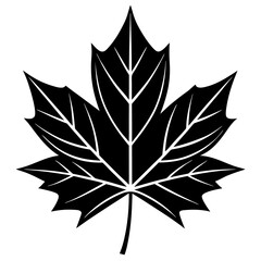 black and white flower