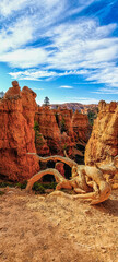 Bryce canyon national park, Utah, USA