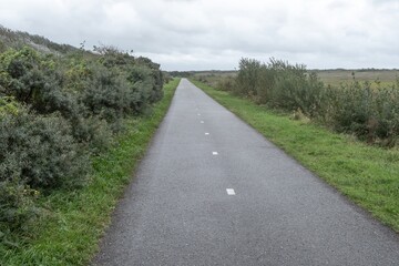 wet path on the coast of the north sea in cloudy autumn weather