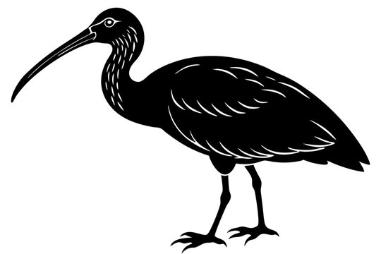 recommend clip art: Ibis bird black silhouette, Spoonbill Vector, ibis bird animal vector illustration