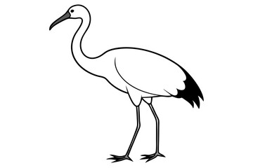 Ibis bird black silhouette, ibis bird animal vector illustration