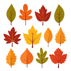 Obraz premium Autumn Leaf Illustrations Set 