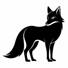 Obraz premium black and white cat