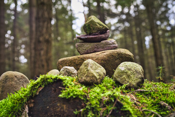 Steine im Wald - Beautiful - Rays - Sunlight - Forest - Green - Silent - Summer - Morning - Landscape - Scenic - Woodland - Nature - Concept - Ecology - Environment Weniger anzeigen