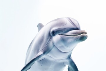 The dolphin smiled and showed a cheerful expression. Swimming on a white background