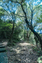 Fototapeta premium 賢島の展望台から見える美しい風景