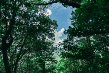 賢島の展望台から見える美しい風景