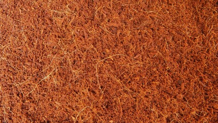 texture background from cocopeat. Cocopeat is a planting medium made from coconut fiber