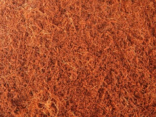 texture background from cocopeat. Cocopeat is a planting medium made from coconut fiber