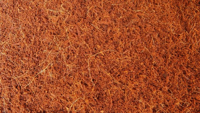 texture background from cocopeat. Cocopeat is a planting medium made from coconut fiber