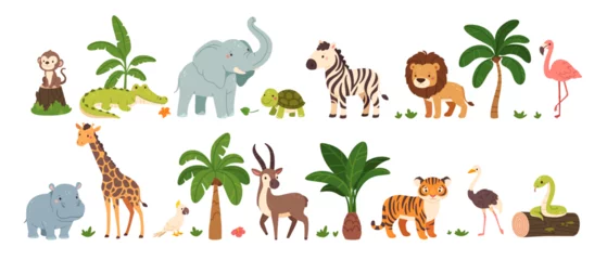 Keuken achterwand Dierentuin Jungle animals. Cute safari wild mammals. Funny exotic mammal, bird and reptile. Elephant, parrot, lion, crocodile, turtle and palm tree. Kids vector set  © Foxy Fox