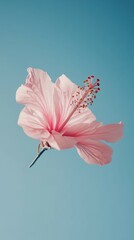 Obraz premium A vibrant pink flower soaring against a clear blue sky in daylight