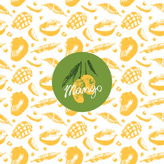Vector mango seamless pattern. Tropical fruit drawings. Color sketches of organic mangoes. Banner with tropical fruits. Exotic fruit ornament. Asian Mangos background. Label template.