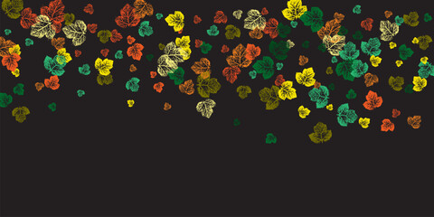 Orange Leaf Vector Panoramic Transparent Background.  Isolated on white background. 