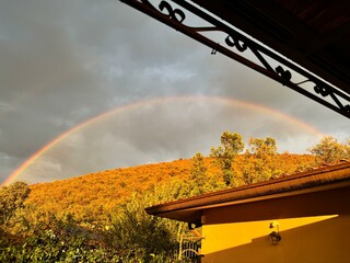 autumn in the park with rainbow 