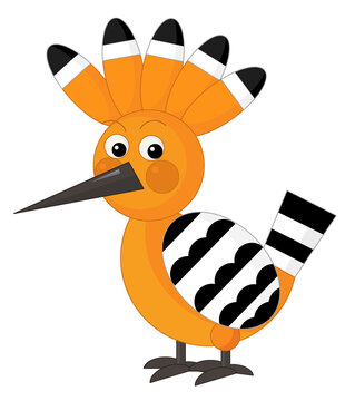 recommend clip art: Cartoon exotic animal hoopoe colorful bird on white background - illustration for children
