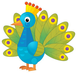 cartoon scene with peacock animal bird stading happy and proud isolated illustration for kids
