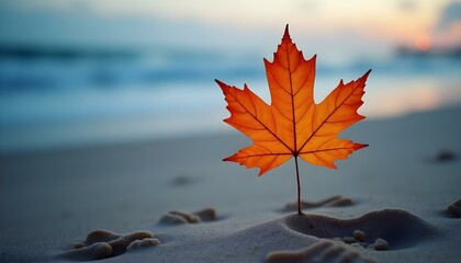 Maple Leaf Sandy Shore at Dusk Ocean and Autumn Colors Twilight on the Beach