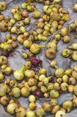 the harvested onion crop lies on the ground