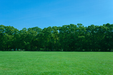 Green Park