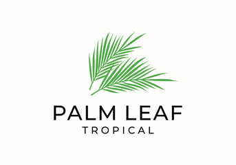 tropical palm leaf logo icon vector illustration design